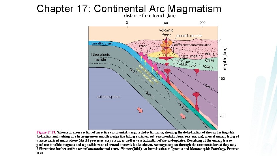 Chapter 17: Continental Arc Magmatism Figure 17. 23. Schematic cross section of an active