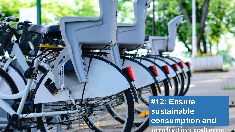 #12: Ensure sustainable consumption and 