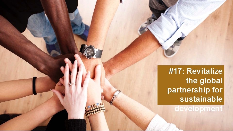 #17: Revitalize the global partnership for sustainable development 