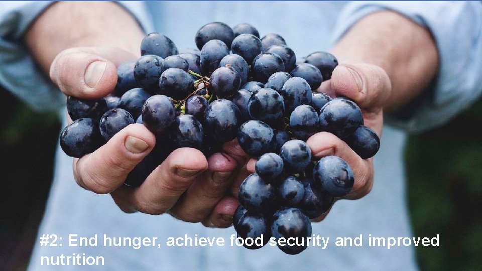 #2: End hunger, achieve food security and improved nutrition 