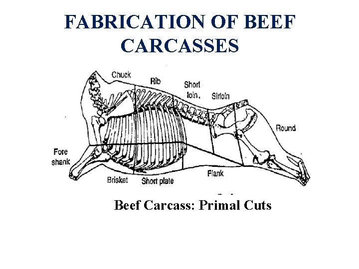 FABRICATION OF BEEF CARCASSES Beef Carcass: Primal Cuts 
