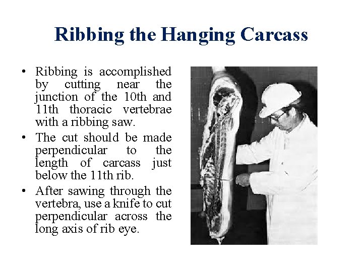 Ribbing the Hanging Carcass • Ribbing is accomplished by cutting near the junction of