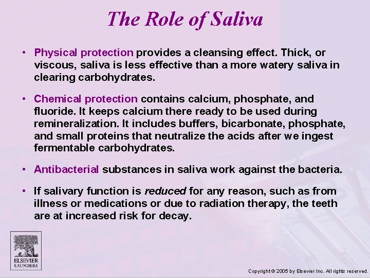 The Role of Saliva • Physical protection provides a cleansing effect. Thick, or viscous,