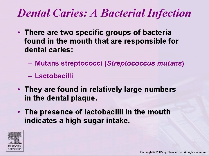 Dental Caries: A Bacterial Infection • There are two specific groups of bacteria found