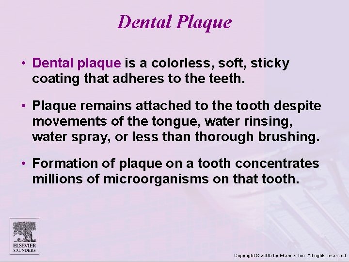 Dental Plaque • Dental plaque is a colorless, soft, sticky coating that adheres to