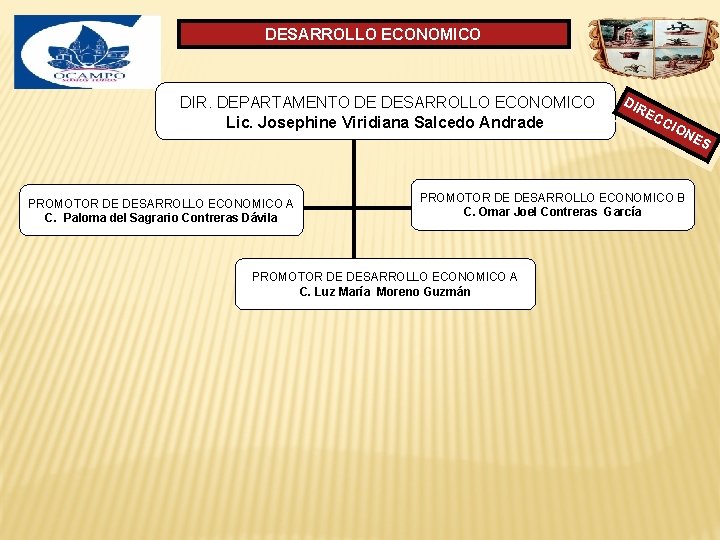 DESARROLLO ECONOMICO DIR. DEPARTAMENTO DE DESARROLLO ECONOMICO Lic. Josephine Viridiana Salcedo Andrade DIR EC