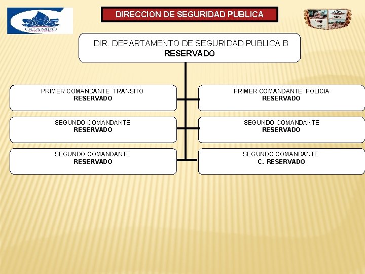 DIRECCION DE SEGURIDAD PUBLICA DIR. DEPARTAMENTO DE SEGURIDAD PUBLICA B RESERVADO PRIMER COMANDANTE TRANSITO