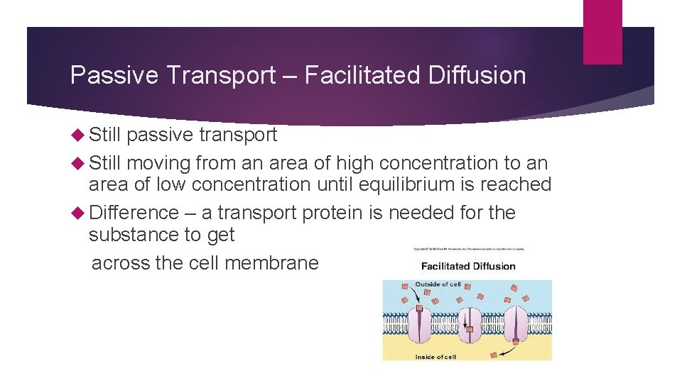 Passive Transport – Facilitated Diffusion Still passive transport Still moving from an area of