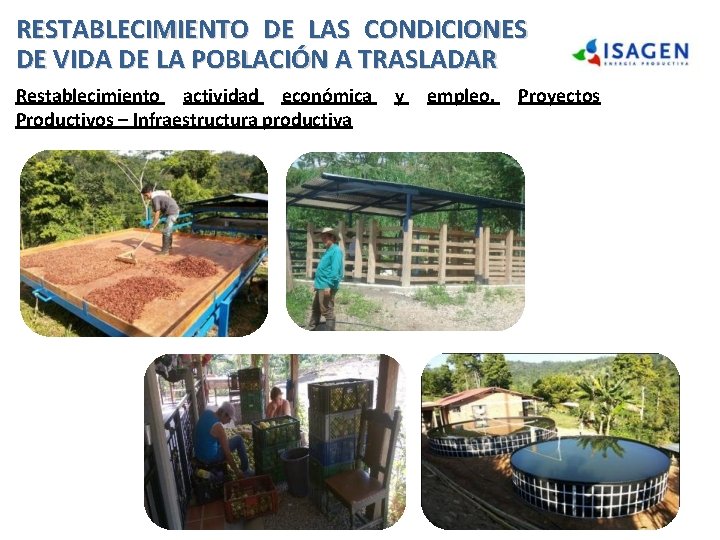 RESTABLECIMIENTO DE LAS CONDICIONES DE VIDA DE LA POBLACIÓN A TRASLADAR Restablecimiento actividad económica RESTABLECIMIENTO DE LAS CONDICIONES DE VIDA DE LA POBLACIÓN A TRASLADAR Restablecimiento actividad económica