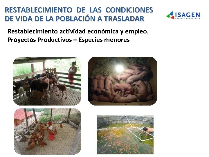 RESTABLECIMIENTO DE LAS CONDICIONES DE VIDA DE LA POBLACIÓN A TRASLADAR Restablecimiento actividad económica RESTABLECIMIENTO DE LAS CONDICIONES DE VIDA DE LA POBLACIÓN A TRASLADAR Restablecimiento actividad económica