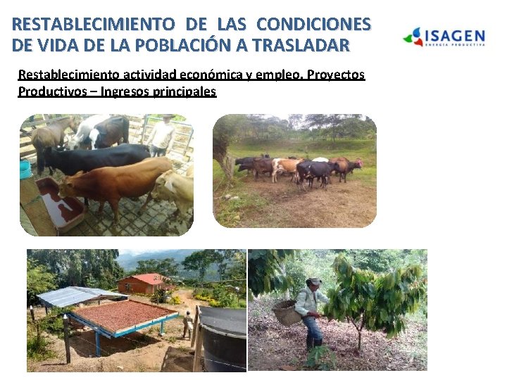 RESTABLECIMIENTO DE LAS CONDICIONES DE VIDA DE LA POBLACIÓN A TRASLADAR Restablecimiento actividad económica RESTABLECIMIENTO DE LAS CONDICIONES DE VIDA DE LA POBLACIÓN A TRASLADAR Restablecimiento actividad económica