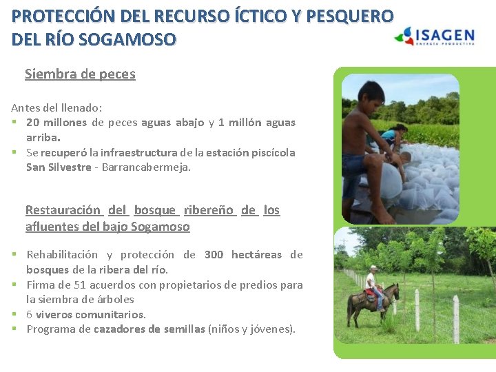 PROTECCIÓN DEL RECURSO ÍCTICO Y PESQUERO DEL RÍO SOGAMOSO Siembra de peces Antes del PROTECCIÓN DEL RECURSO ÍCTICO Y PESQUERO DEL RÍO SOGAMOSO Siembra de peces Antes del