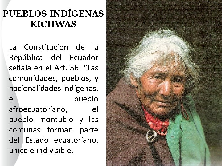 PUEBLOS INDÍGENAS KICHWAS La Constitución de la República del Ecuador señala en el Art.