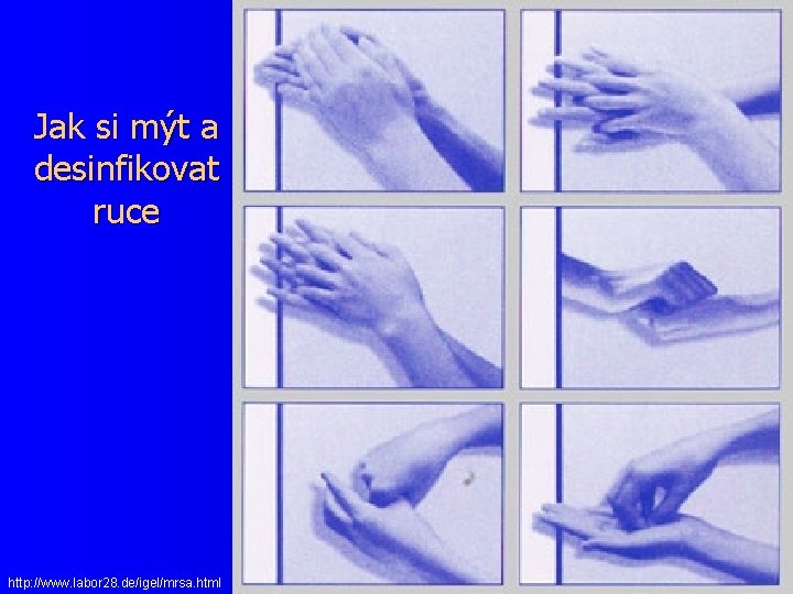 Jak si mýt a desinfikovat ruce http: //www. labor 28. de/igel/mrsa. html 