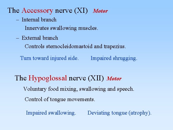 The Accessory nerve (XI) Motor – Internal branch Innervates swallowing muscles. – External branch