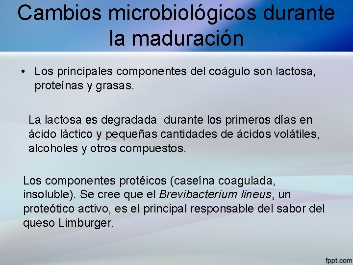 Cambios microbiológicos durante la maduración • Los principales componentes del coágulo son lactosa, proteínas