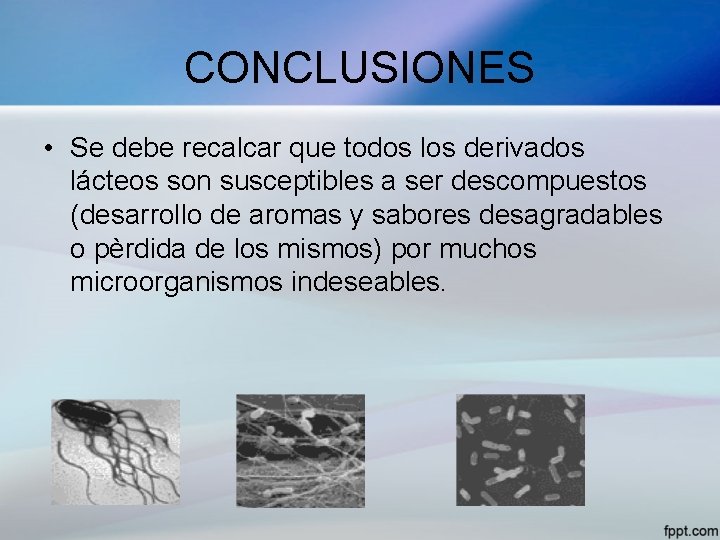 CONCLUSIONES • Se debe recalcar que todos los derivados lácteos son susceptibles a ser