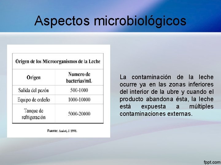 Aspectos microbiológicos La contaminación de la leche ocurre ya en las zonas inferiores del