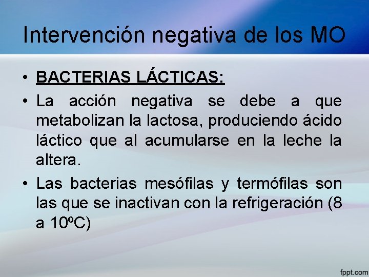 Intervención negativa de los MO • BACTERIAS LÁCTICAS: • La acción negativa se debe