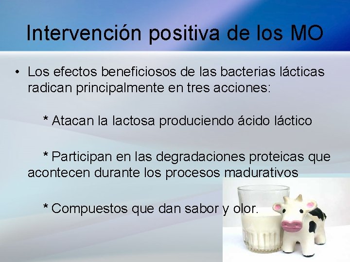 Intervención positiva de los MO • Los efectos beneficiosos de las bacterias lácticas radican