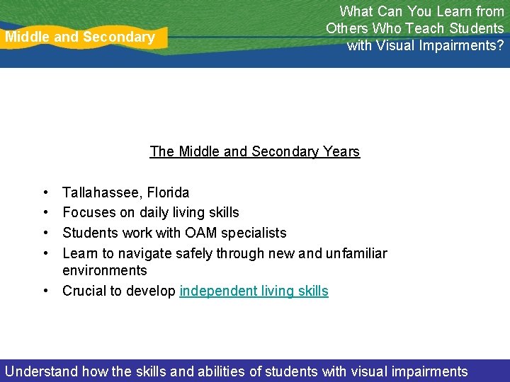 Middle and Secondary What Can You Learn from Others Who Teach Students with Visual