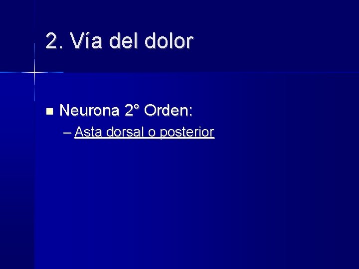 2. Vía del dolor Neurona 2° Orden: – Asta dorsal o posterior 