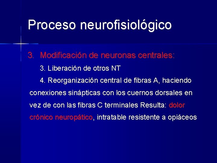 Proceso neurofisiológico 3. Modificación de neuronas centrales: 3. Liberación de otros NT 4. Reorganización