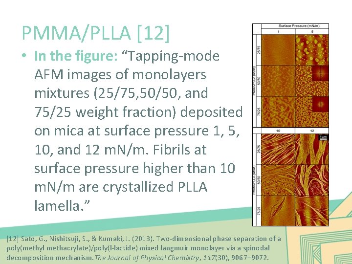 PMMA/PLLA [12] • In the figure: “Tapping-mode AFM images of monolayers mixtures (25/75, 50/50,