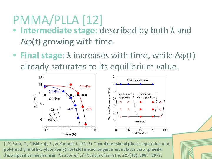 PMMA/PLLA [12] • Intermediate stage: described by both λ and Δϕ(t) growing with time.