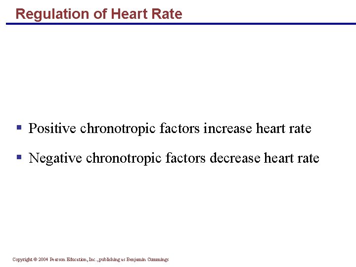 Regulation of Heart Rate § Positive chronotropic factors increase heart rate § Negative chronotropic