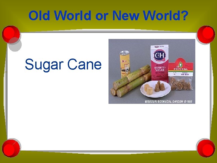 Old World or New World? Sugar Cane 