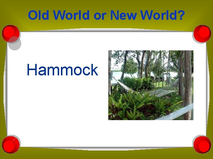 Old World or New World? Hammock 