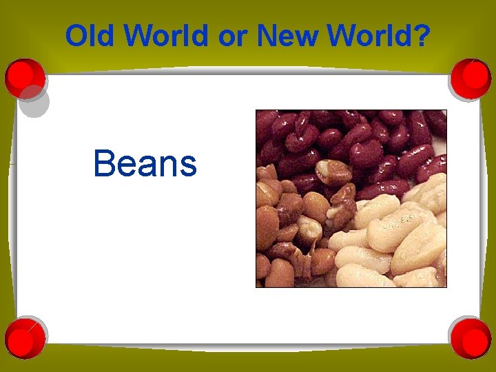 Old World or New World? Beans 