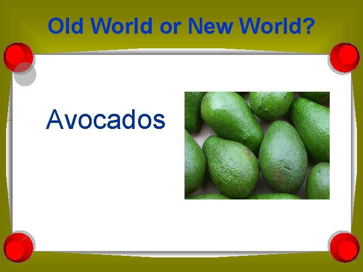 Old World or New World? Avocados 
