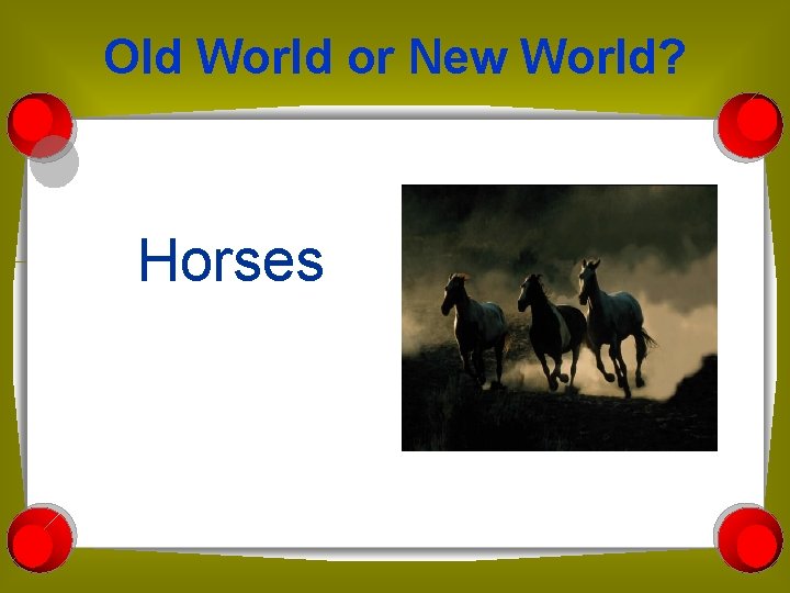 Old World or New World? Horses 
