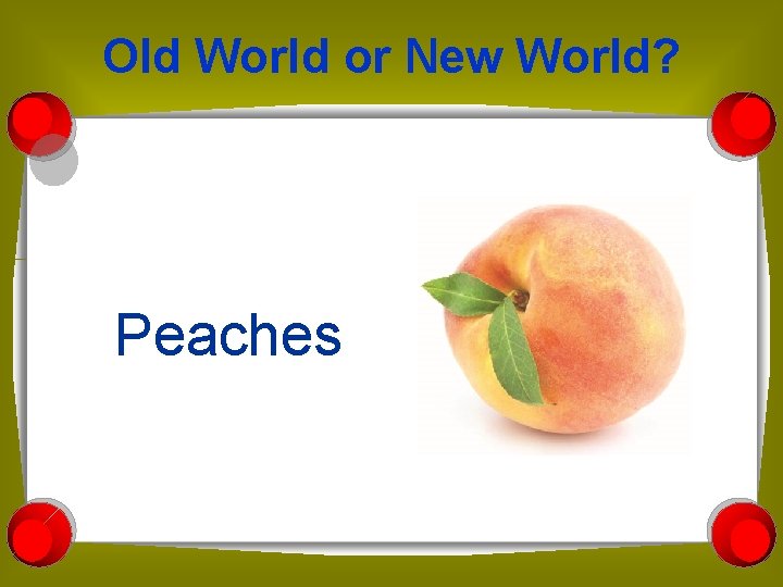 Old World or New World? Peaches 