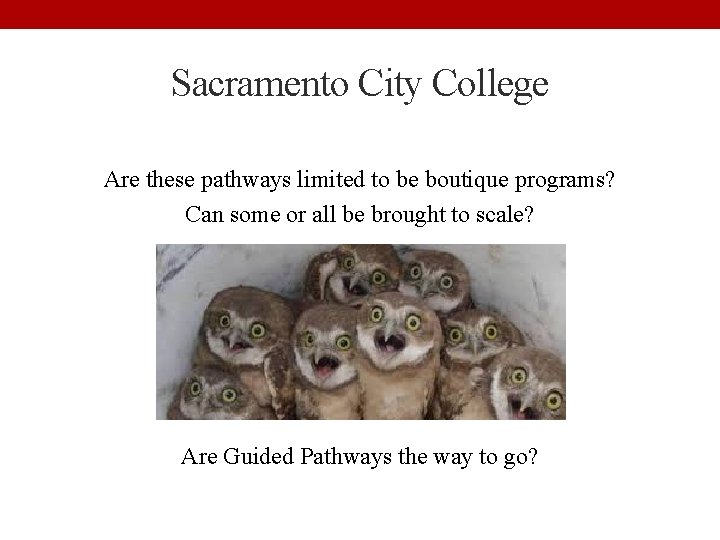Sacramento City College Are these pathways limited to be boutique programs? Can some or