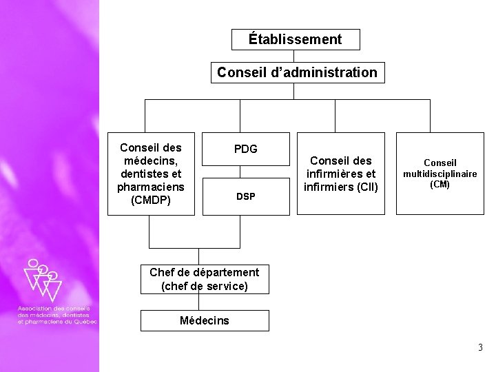 Établissement Conseil d’administration Conseil des médecins, dentistes et pharmaciens (CMDP) PDG DSP Conseil des