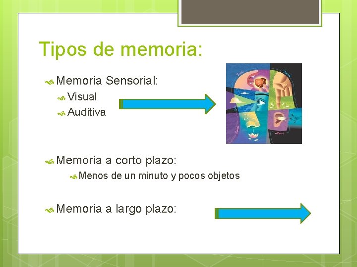 Tipos de memoria: Memoria Sensorial: Visual Auditiva Memoria a corto plazo: Menos Memoria de