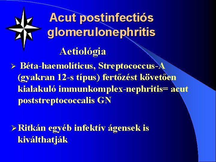 Acut postinfectiós glomerulonephritis Aetiológia Ø Béta-haemolíticus, Streptococcus-A (gyakran 12 -s típus) fertőzést követően kialakuló