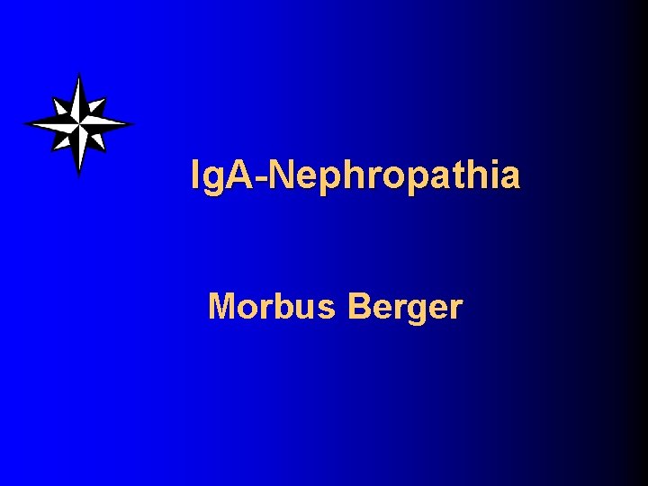 Ig. A-Nephropathia Morbus Berger 