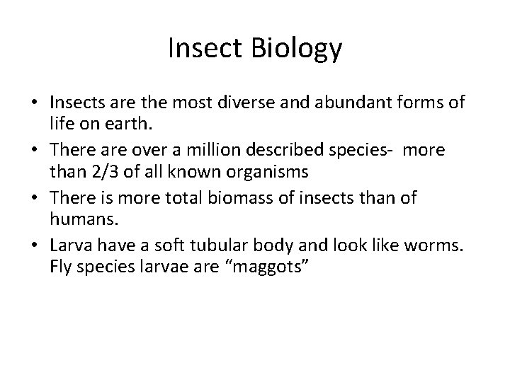 Insect Biology • Insects are the most diverse and abundant forms of life on