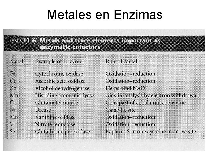 Metales en Enzimas 