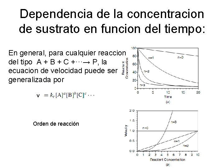 Dependencia de la concentracion de sustrato en funcion del tiempo: En general, para cualquier