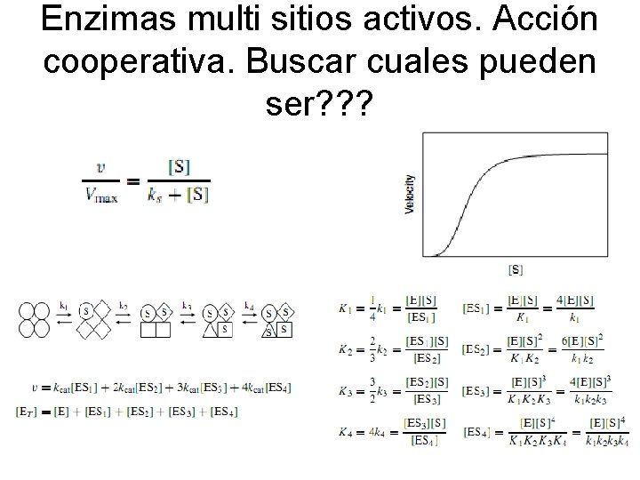 Enzimas multi sitios activos. Acción cooperativa. Buscar cuales pueden ser? ? ? 