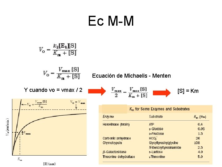 Ec M-M Ecuación de Michaelis - Menten Y cuando vo = vmax / 2