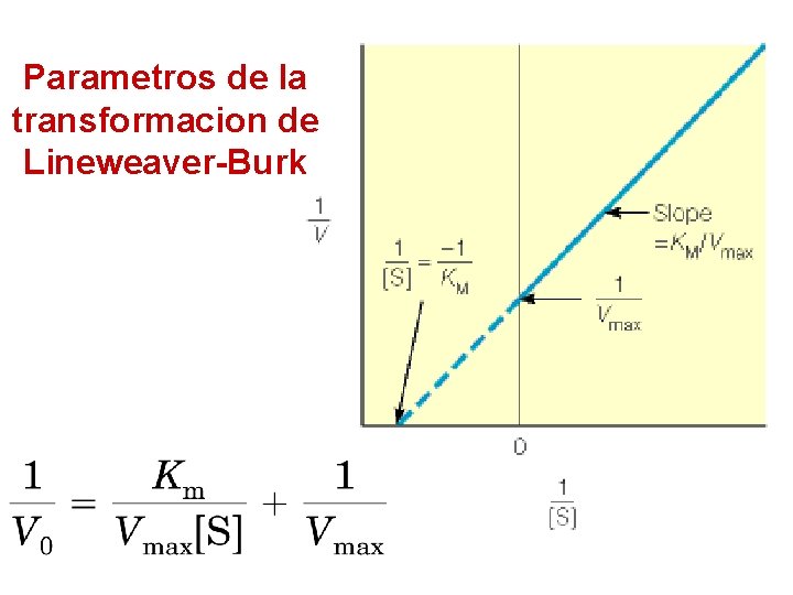 Parametros de la transformacion de Lineweaver-Burk 