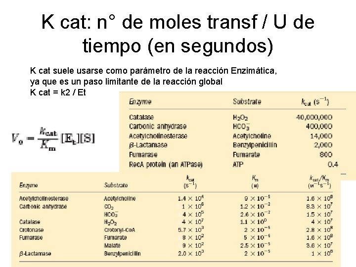 K cat: n° de moles transf / U de tiempo (en segundos) K cat