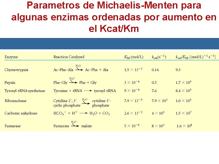 Parametros de Michaelis-Menten para algunas enzimas ordenadas por aumento en el Kcat/Km 