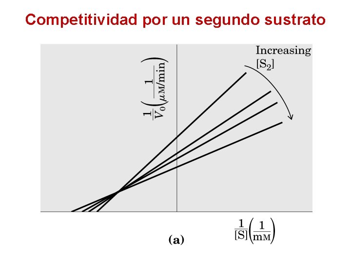 Competitividad por un segundo sustrato 